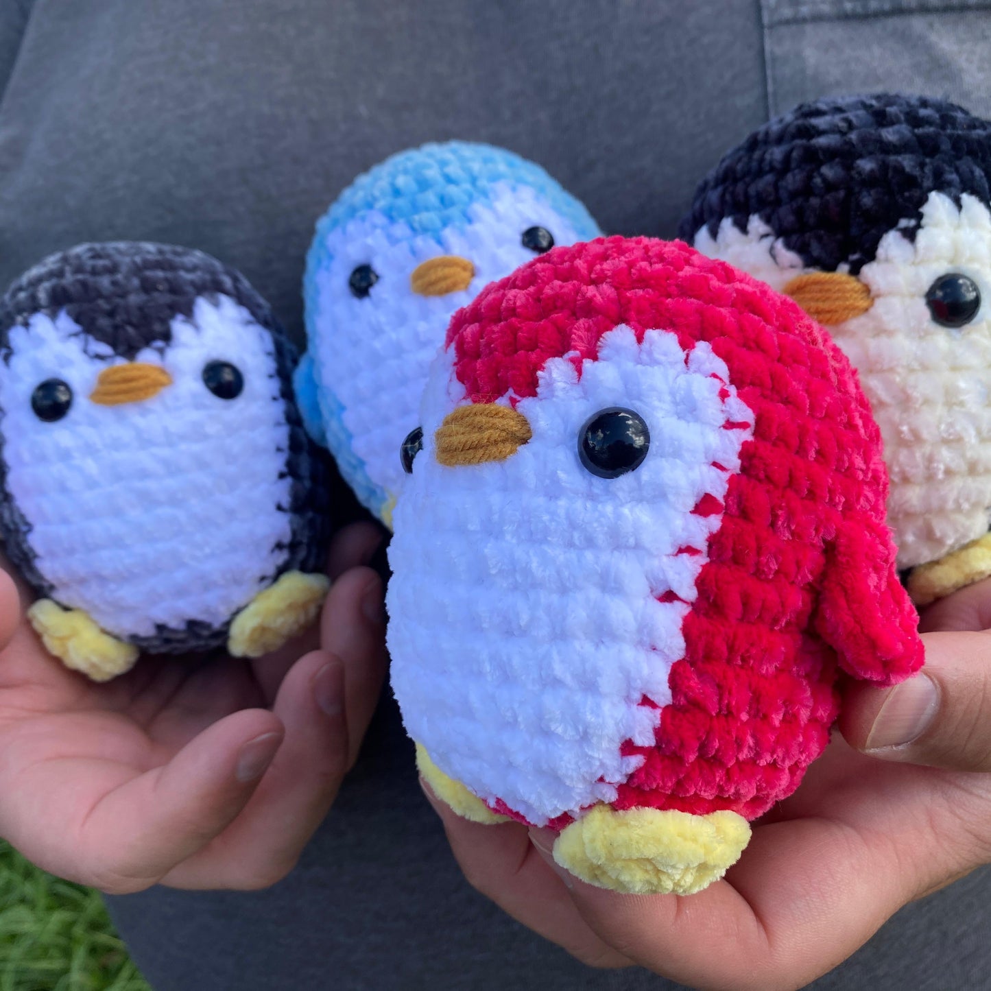 Pingüinos