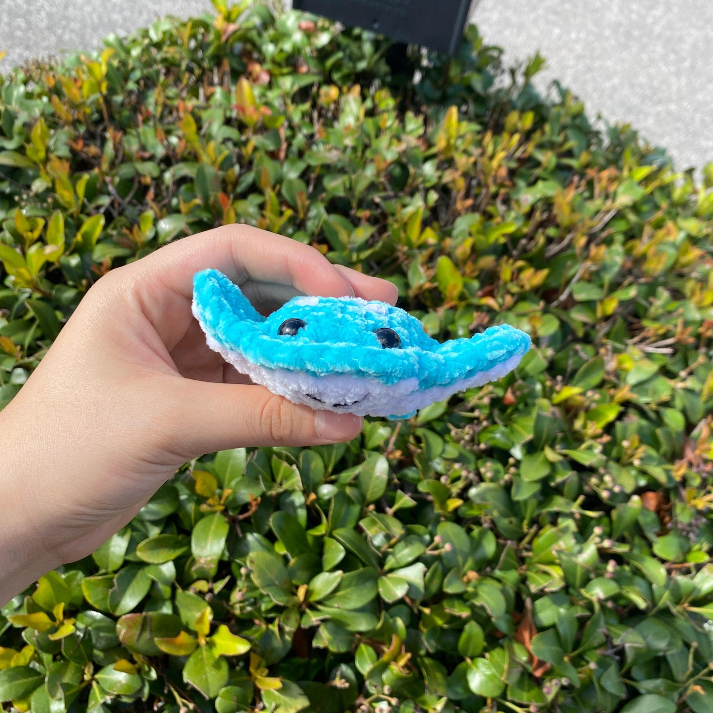 Mantarraya
